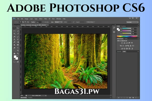 Adobe Photoshop CS6 Full Bagas31